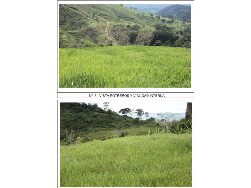 Nirgua. Estado Yaracuy. En venta Finca de 1000 hectáreas - 6