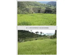 Vista 6