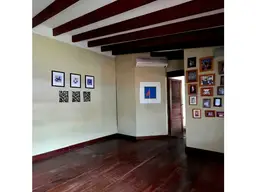 Vista 14
