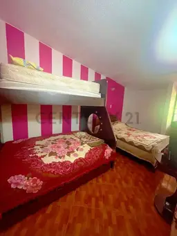 Vista 15