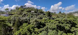 View 15