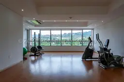 Vista 16