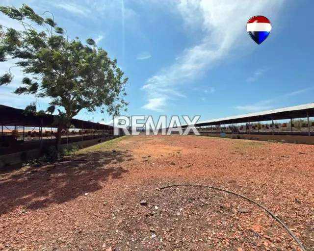 EN VENTA GRANJA AVICOLA OPERATIVA