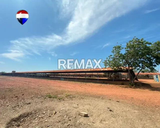 EN VENTA GRANJA AVICOLA OPERATIVA - 11