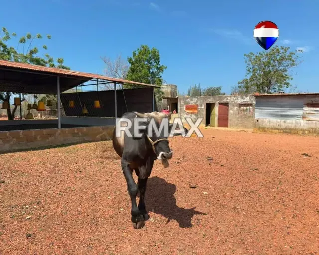 EN VENTA GRANJA AVICOLA OPERATIVA - 12