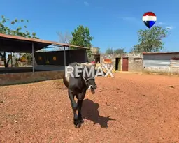 Vista 12