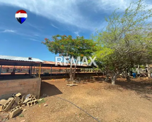 EN VENTA GRANJA AVICOLA OPERATIVA - 14