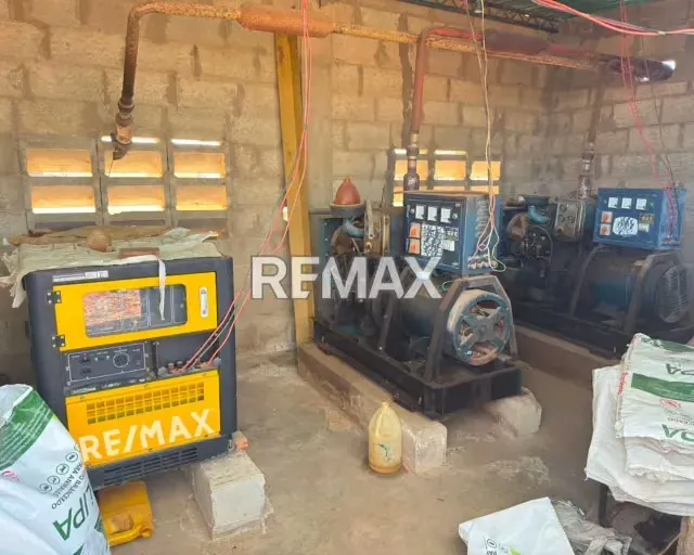 EN VENTA GRANJA AVICOLA OPERATIVA - 18