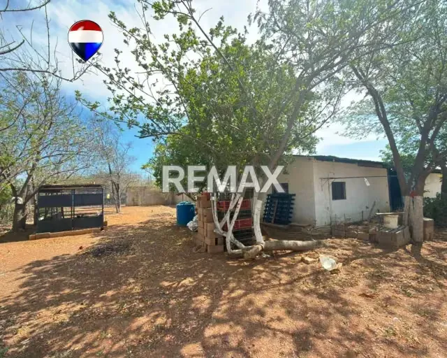 EN VENTA GRANJA AVICOLA OPERATIVA - 19