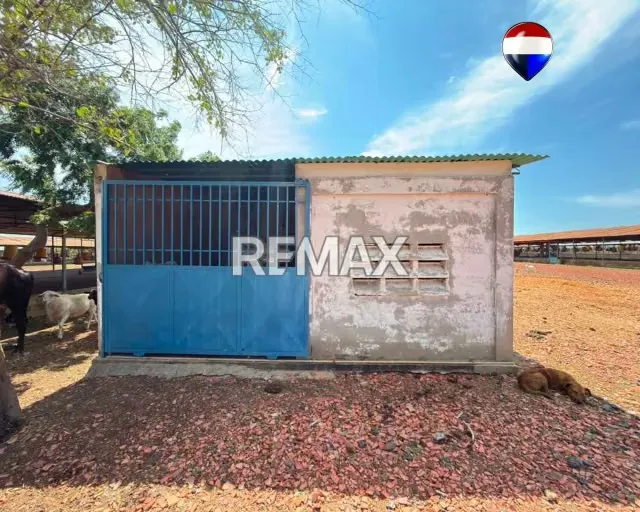 EN VENTA GRANJA AVICOLA OPERATIVA - 20