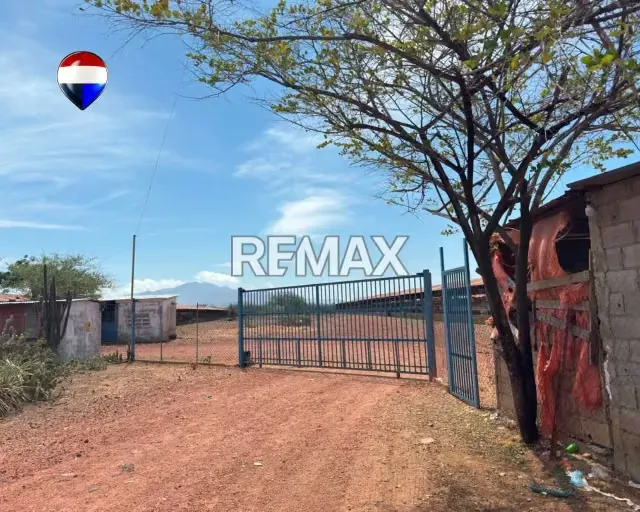 EN VENTA GRANJA AVICOLA OPERATIVA - 5