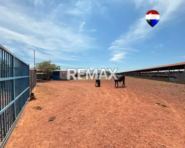 EN VENTA GRANJA AVICOLA OPERATIVA - 6