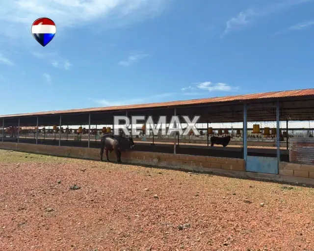 EN VENTA GRANJA AVICOLA OPERATIVA - 9