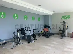 Vista 12