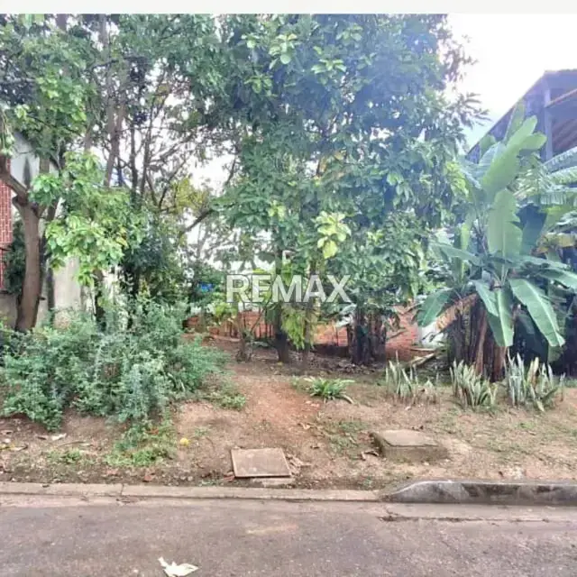 SE VENDE TERRENO EN PALO GORDO