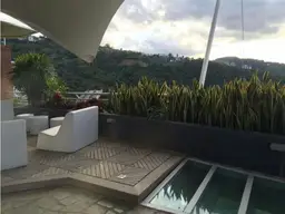 View 15