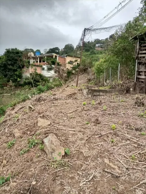 Terreno (Residencial) en Venta en La Virgencita, Vargas - 12