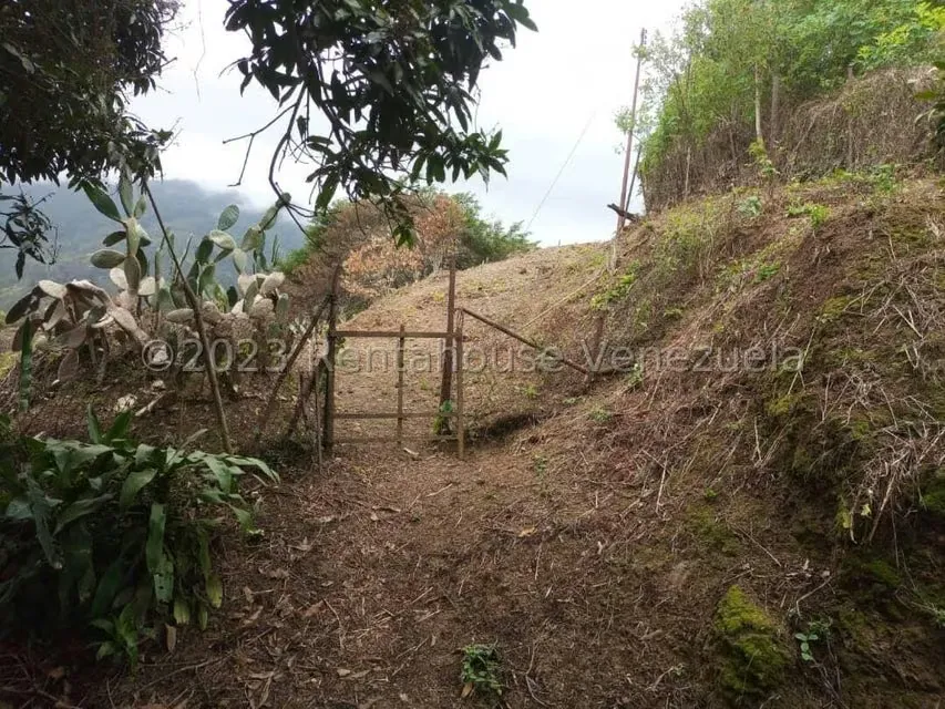 Terreno (Residencial) en Venta en La Virgencita, Vargas - 13