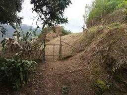 View 13