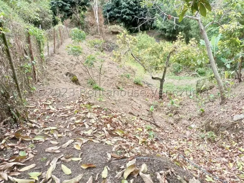 Terreno (Residencial) en Venta en La Virgencita, Vargas - 21