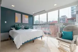 Vista 24