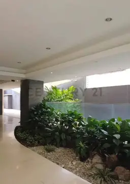 Vista 14