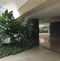 Vista 15
