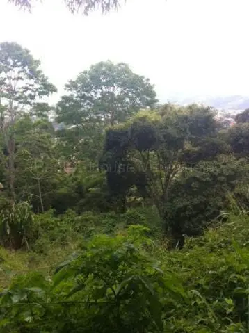 Terreno (Residencial) en Venta en Oripoto, Distrito Metropolitano - 2