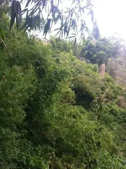 Vista 3
