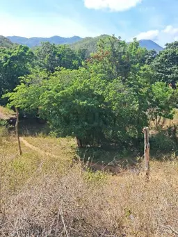Vista 1