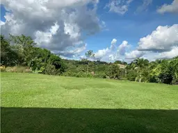 Vista 4
