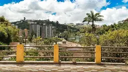 Vista 41