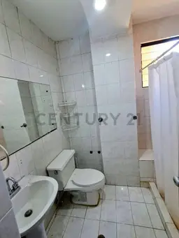 Vista 19