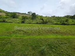 Vista 19