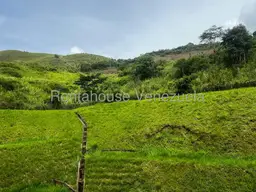 Vista 21