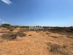 Vista 5