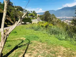 View 12