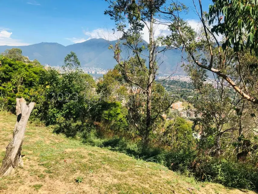 Terreno (Residencial) en Venta en Los Naranjos del Cafetal, Distrito Metropolitano - 14
