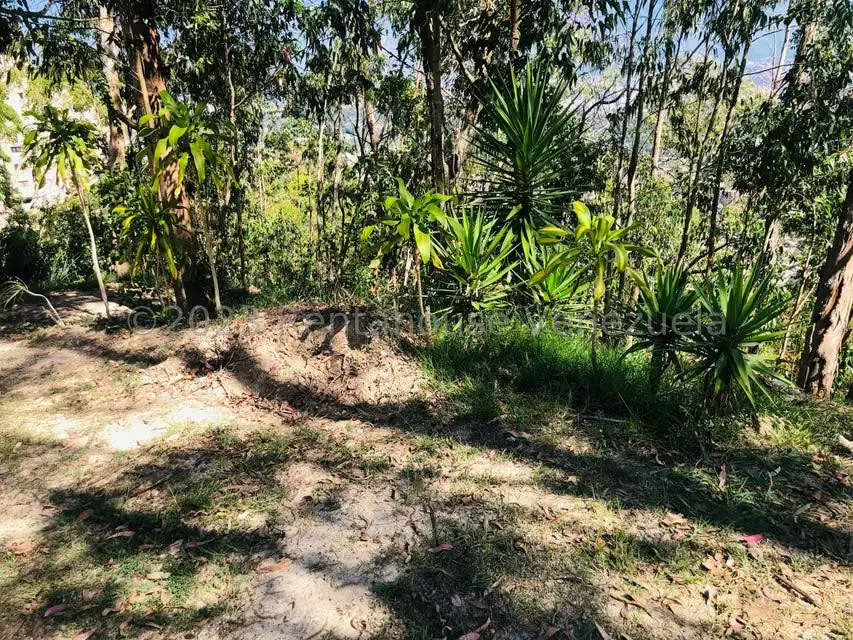 Terreno (Residencial) en Venta en Los Naranjos del Cafetal, Distrito Metropolitano - 23
