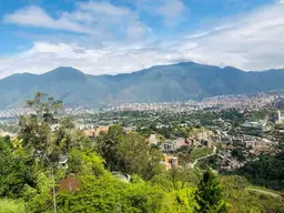 View 24