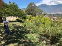 View 8