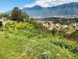 View 10