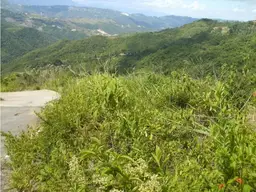 Vista 1