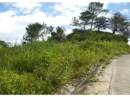 Vista 3