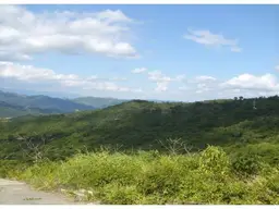 Vista 5