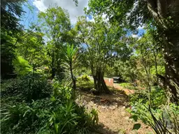 View 7