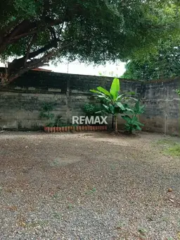 View 19