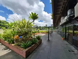 Vista 27