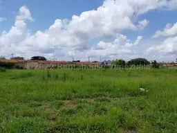 Vista 12