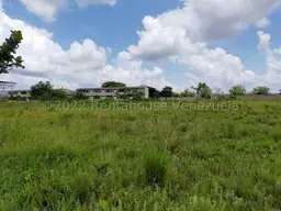 Vista 19